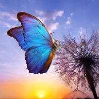 Profile picture for user TeachIrma