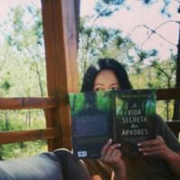 Profile picture for user sandrabarros