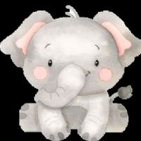 Profile picture for user bdinares