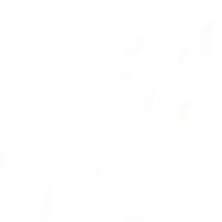 Profile picture for user saragirao