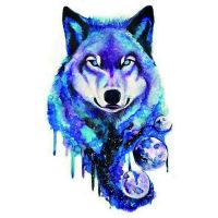 Profile picture for user danigolu