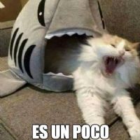 Profile picture for user Coco02