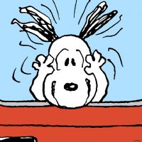 Profile picture for user tohuanda