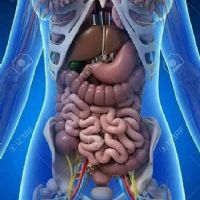 Junaidah Binti Ramli