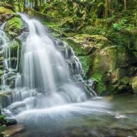 Profile picture for user rafal0707