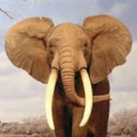 JOSE JUAN SANTOS SÁNCHEZ