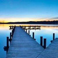 Profile picture for user aanette