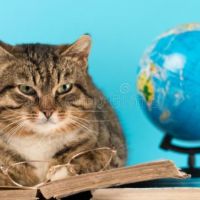 Profile picture for user CONCEPCION12345