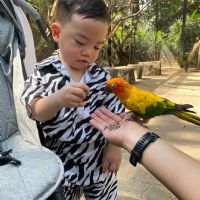 Profile picture for user Thunyada