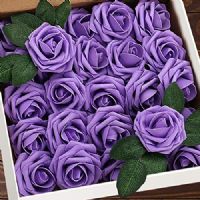 Profile picture for user safaa1984