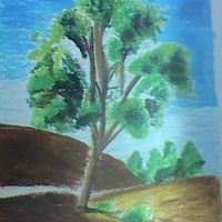 Profile picture for user rsparkavee