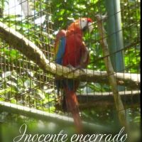 Profile picture for user yanamaru