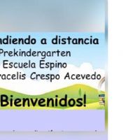 Profile picture for user aracelisca