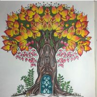 Cinthia Glória Gaiotte