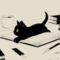 Profile picture for user MTERRES