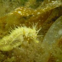 Profile picture for user jctb