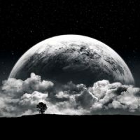 Profile picture for user LuzMariaGalvan