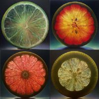 Profile picture for user VankovaMo