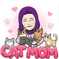 Profile picture for user Sengul123