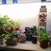 Profile picture for user SandyChen