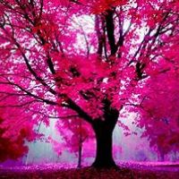 Profile picture for user marisa0