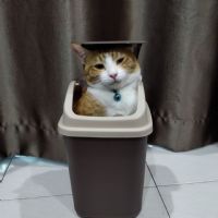 Profile picture for user djazzyjay