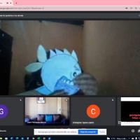 Profile picture for user susely13