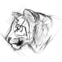 Mónica Isabel Ortiz