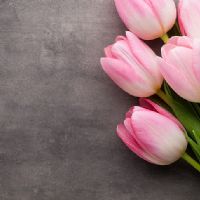 Profile picture for user wawajay