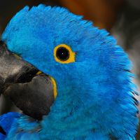 Анатольевна