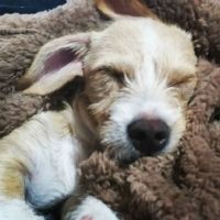 Profile picture for user JessKatsu