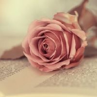 Profile picture for user teacher_Alma_G