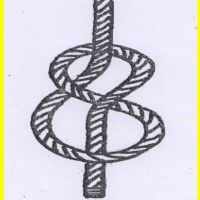 Profile picture for user msalleh