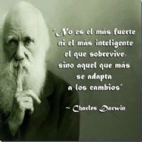 Lucio Emmanuel Ferna Vera López