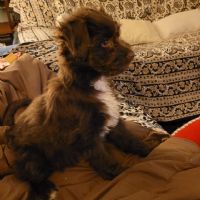 Profile picture for user AIDANELPRO