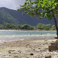 Profile picture for user AuntyMiss