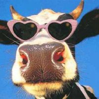 Profile picture for user mabelsandraguitian