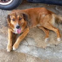 Profile picture for user ProfesoraA