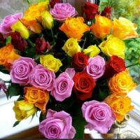 Profile picture for user PREMAVARIAR