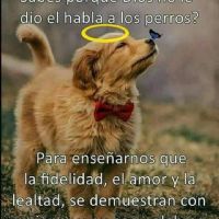 Profile picture for user ANGELAOLAYA