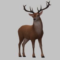 Profile picture for user hello07