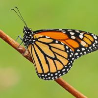 Profile picture for user jarjones