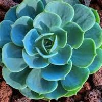 Profile picture for user kbouaicben