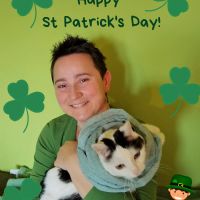 Profile picture for user MsJo