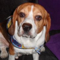 Profile picture for user ENGLISH202289