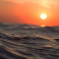 Profile picture for user TONINA18