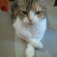 Profile picture for user missro08