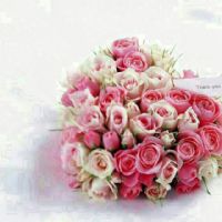 Profile picture for user JIANANC