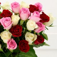 Profile picture for user Marlena20