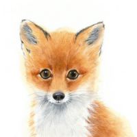 Profile picture for user ambariluciagsgmailcom